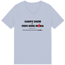 Load image into Gallery viewer, IMAGINER T-shirt Unisexe Aspect Vieilli FSM Carpe Diem - FRUI SINE MORA
