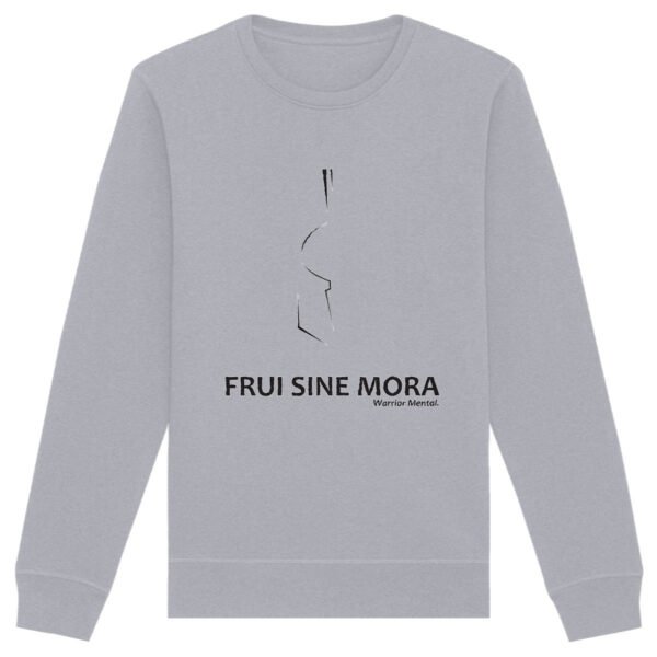 Sweat-shirt unisexe WUI20 FSM Lignes Noires - FRUI SINE MORA