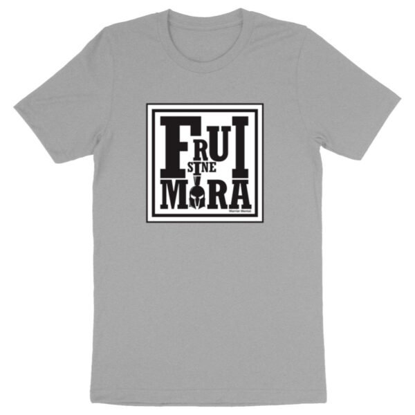 T-shirt Homme Col rond 100% Coton BIO TM042 FSM Cadre BW - FRUI SINE MORA